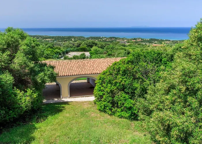 B Giagumeddu 07a Bilo *