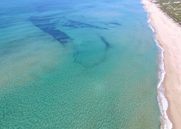 B Giagumeddu 07a Bilo *