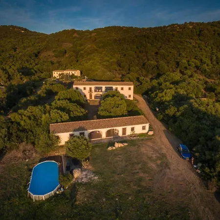 B Giagumeddu 07a Bilo *